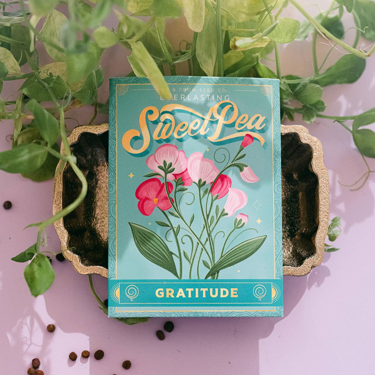 Everlasting Sweet Pea (Gratitude) | Seed Packet
