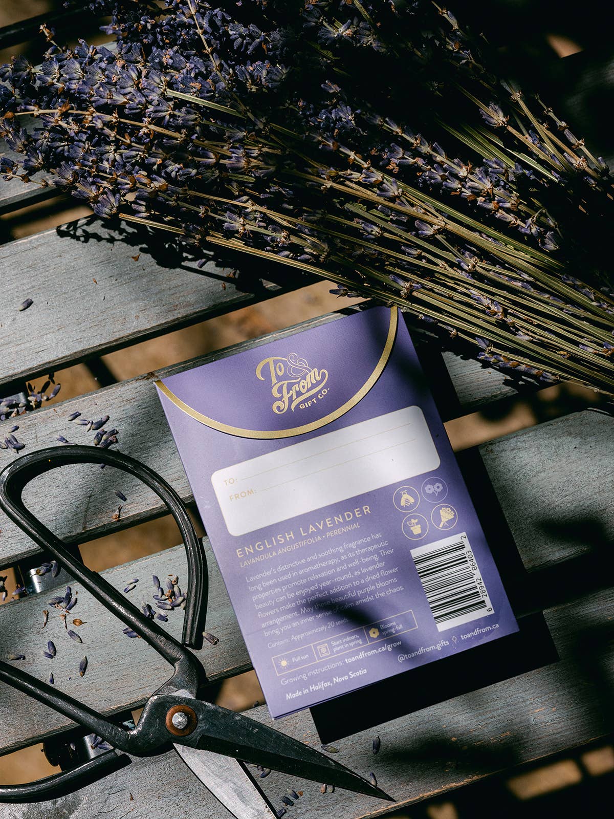 Lavender (Serenity) | Seed Packet