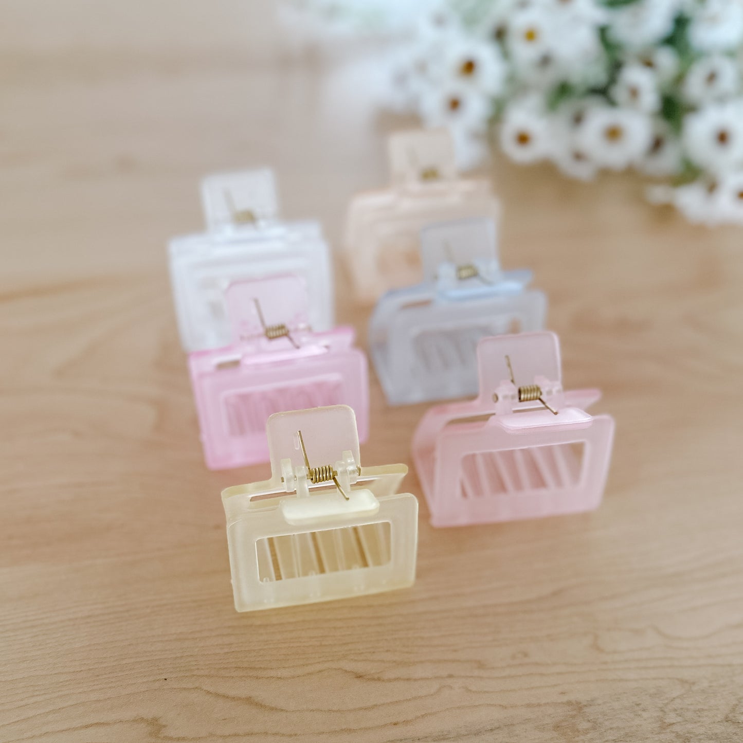 Frosted Pastel Claw Clip | Medium
