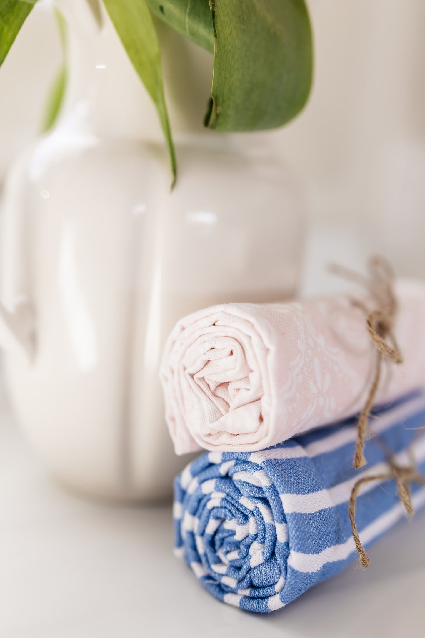 Blue Stripe & Pink Print Dishtowels | Set of 2