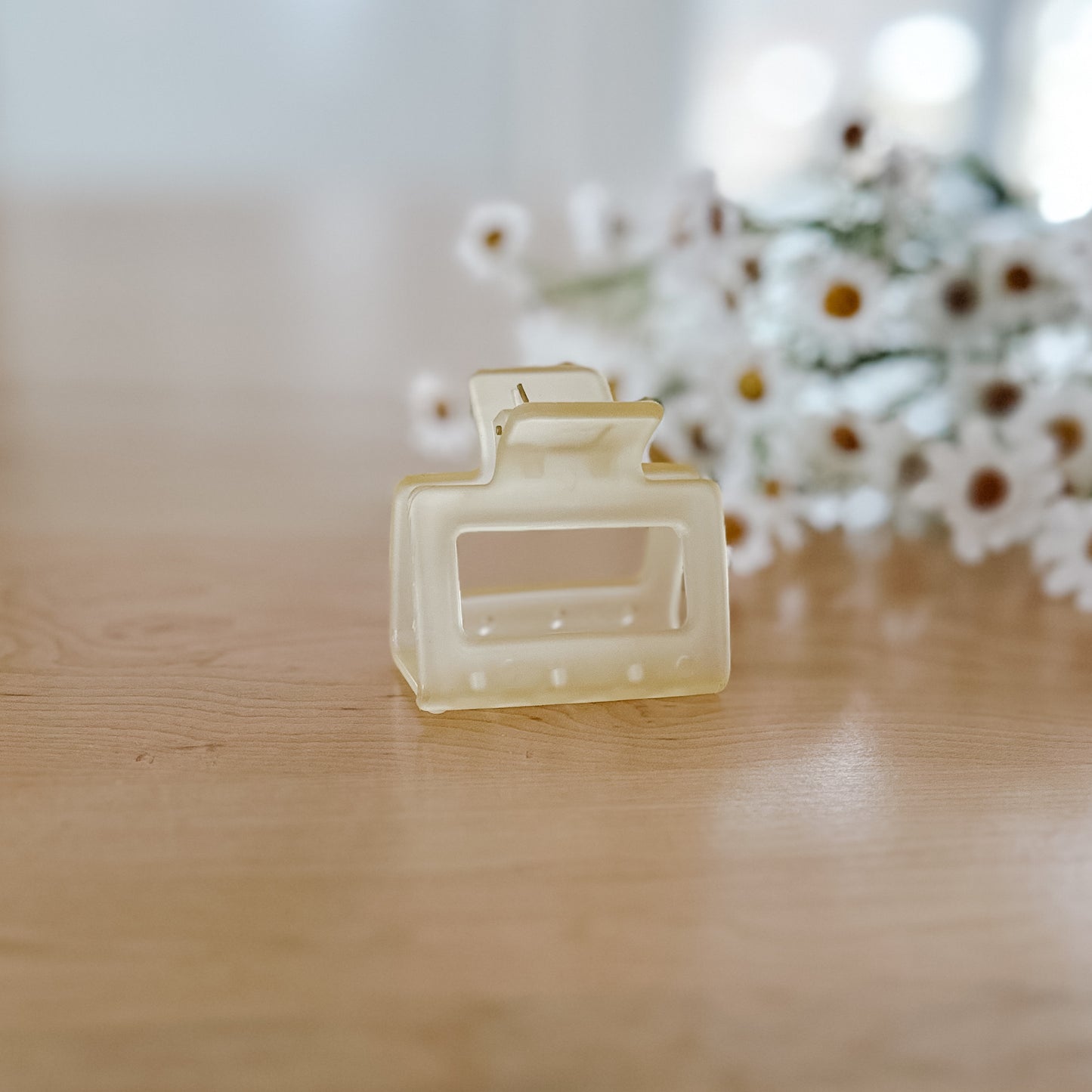 Frosted Pastel Claw Clip | Medium