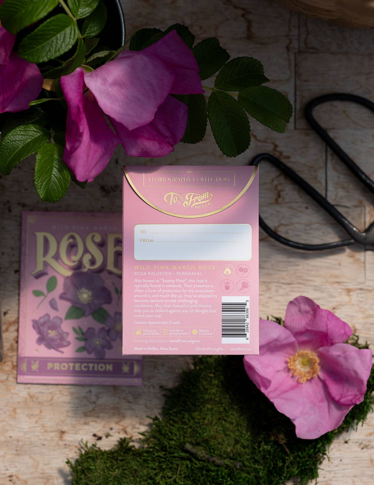 Wild Pink Marsh Rose (Protection) | Seed Packet