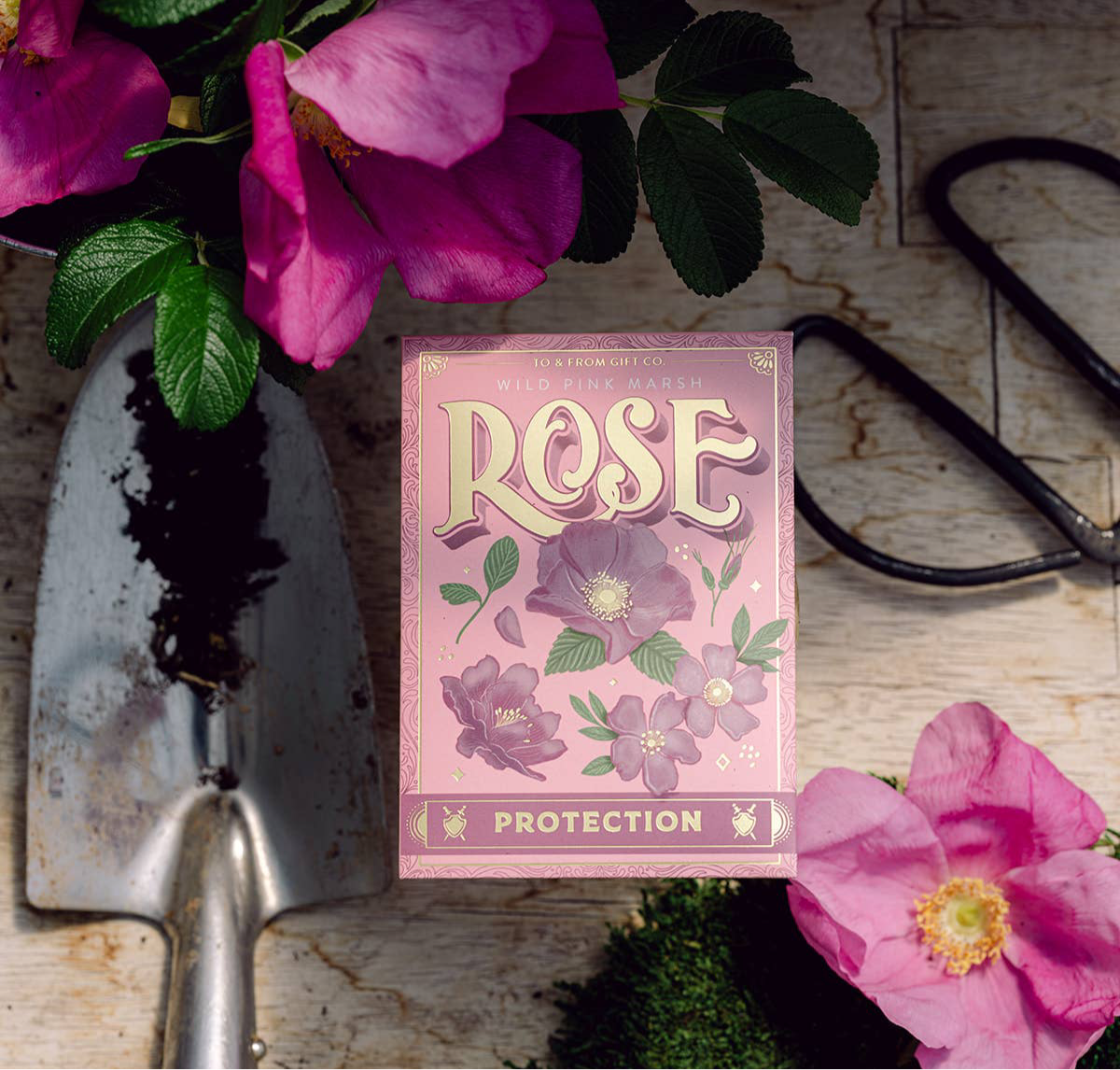Wild Pink Marsh Rose (Protection) | Seed Packet