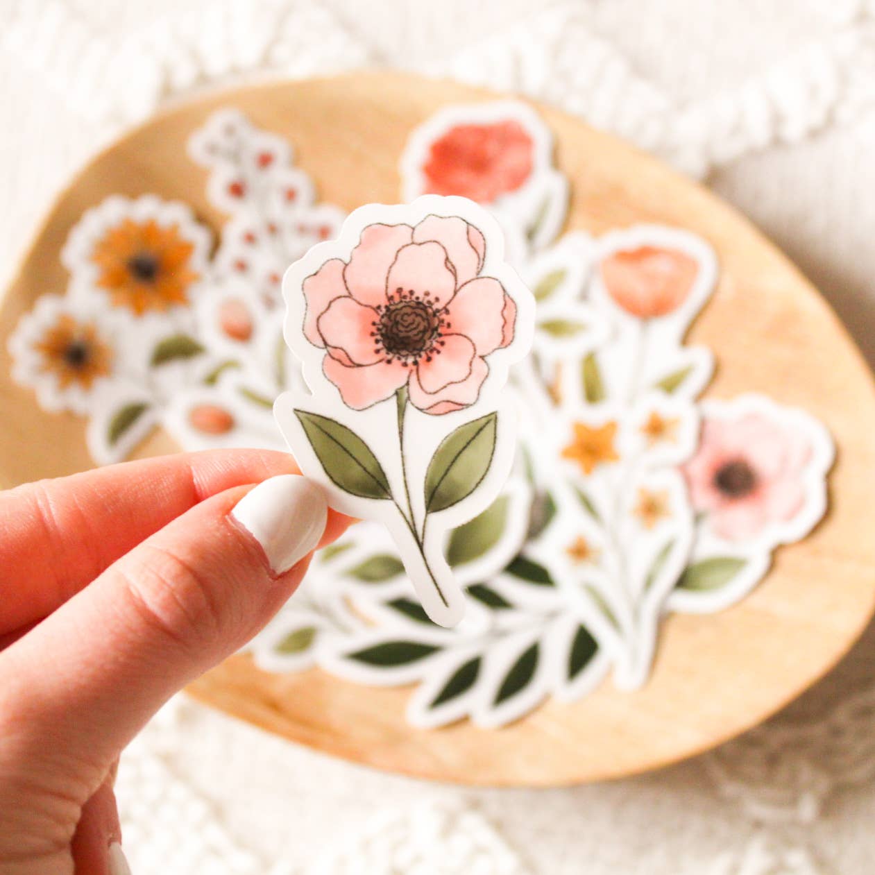 Anemone | Sticker