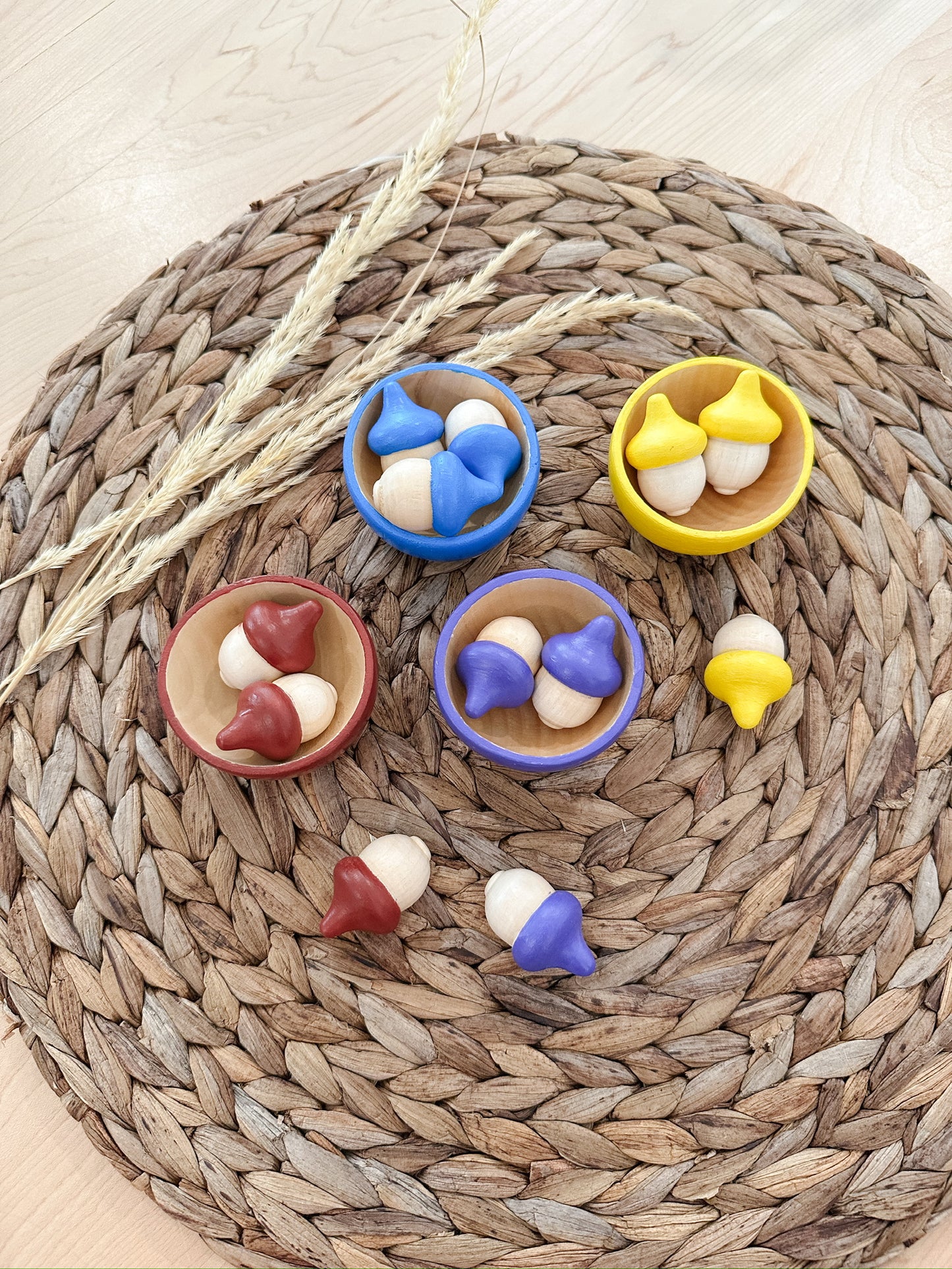 Acorn Colour Sort | Set of 4