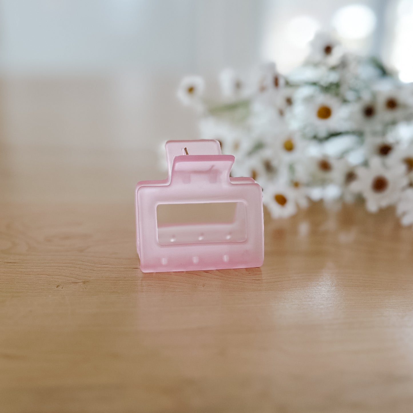 Frosted Pastel Claw Clip | Medium