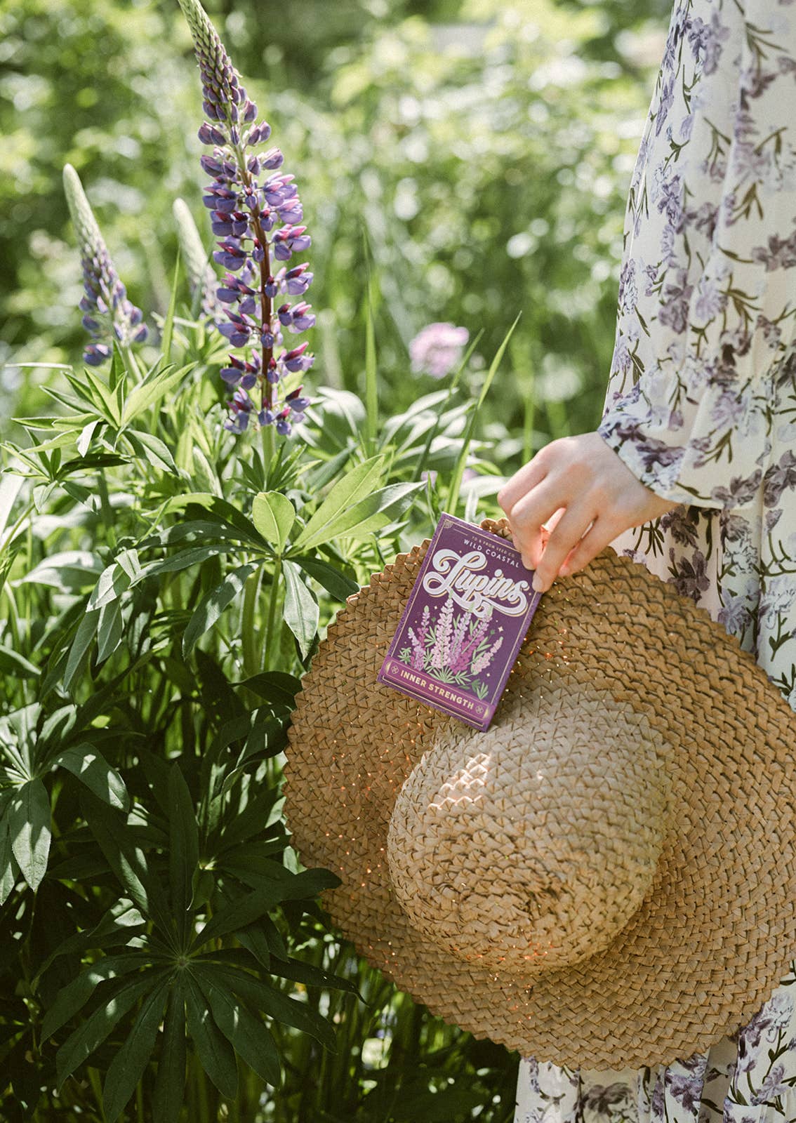 Lupins (Inner Strength) | Seed Packet