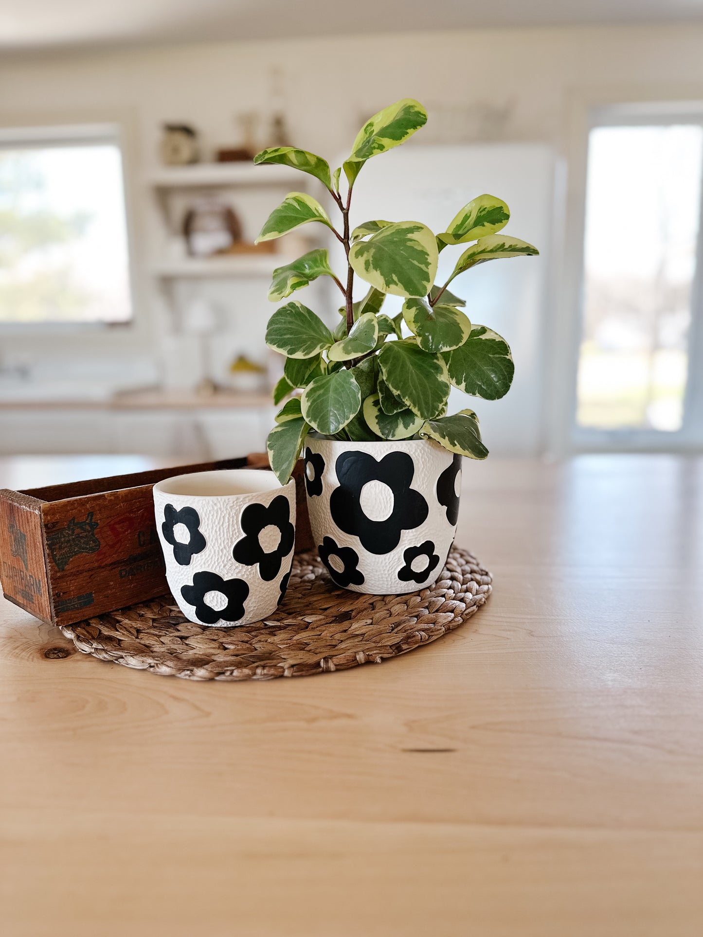 Floral Terracotta Flower Pots | Set of 2