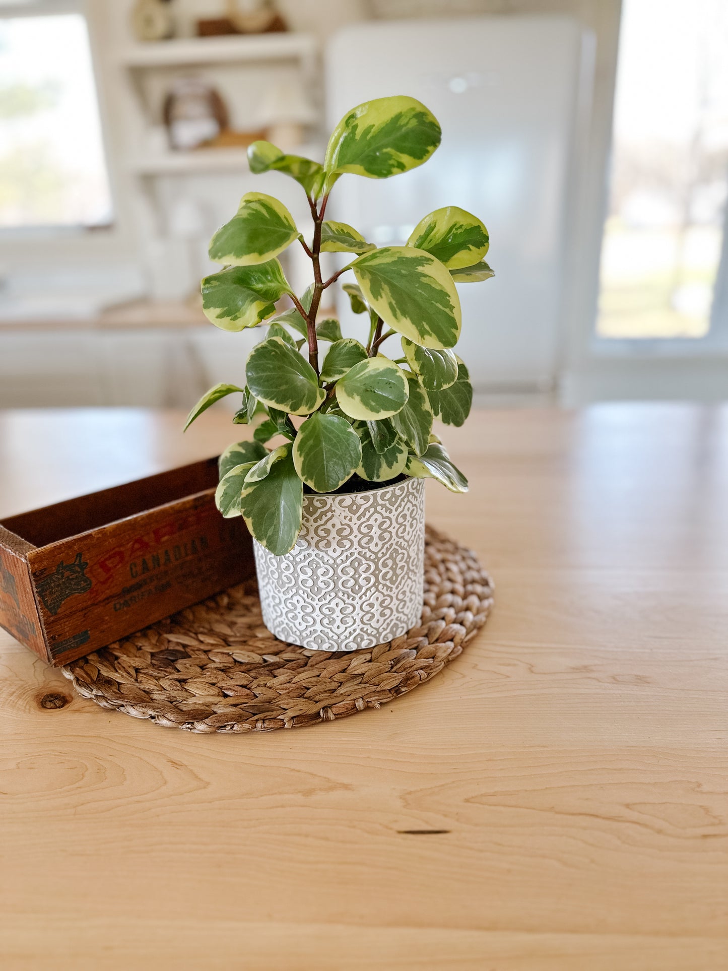 Lace Pattern Flower Pot | Grey & White