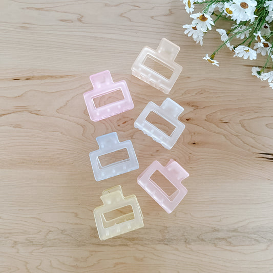 Frosted Pastel Claw Clip | Medium