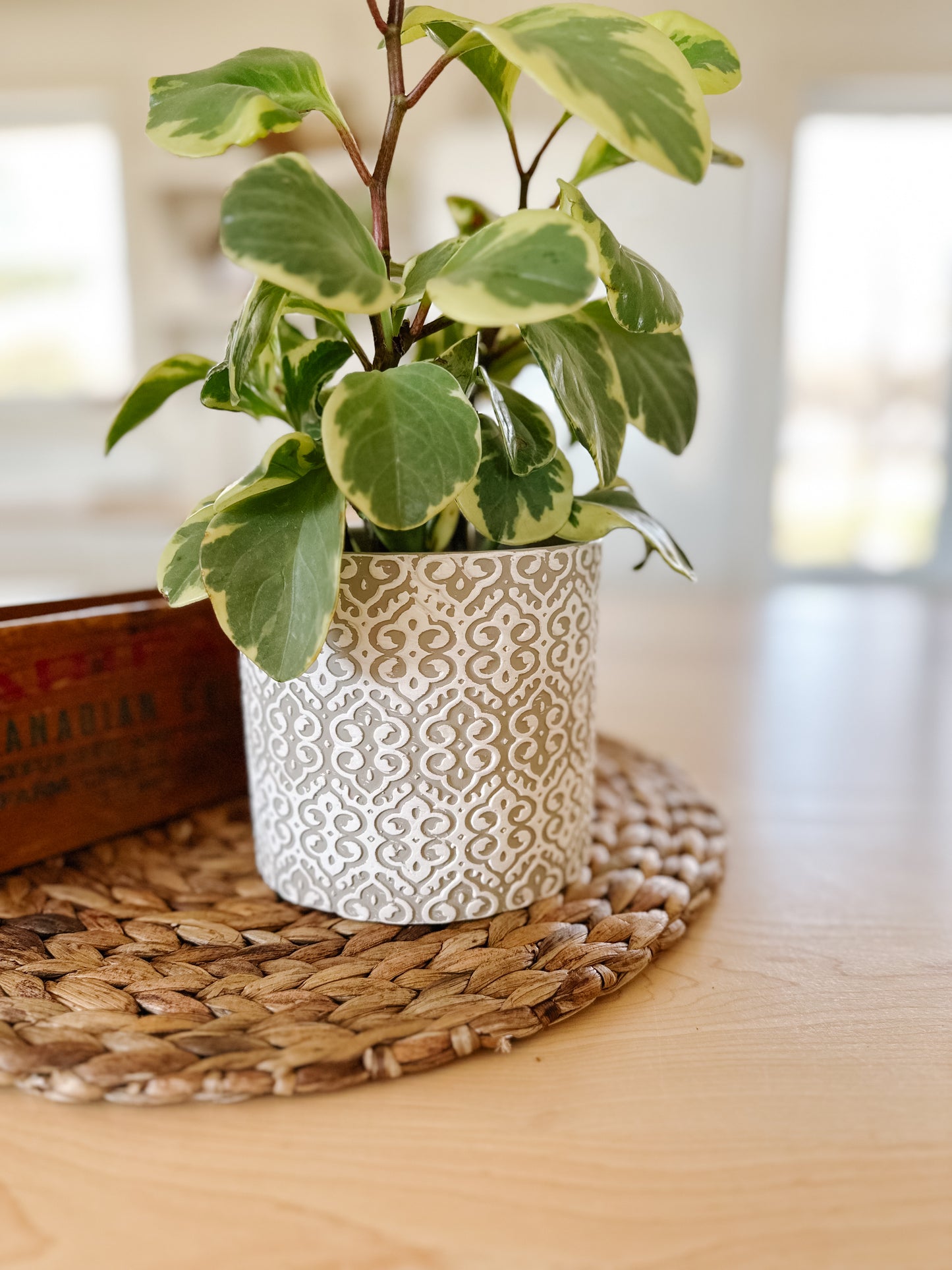 Lace Pattern Flower Pot | Grey & White