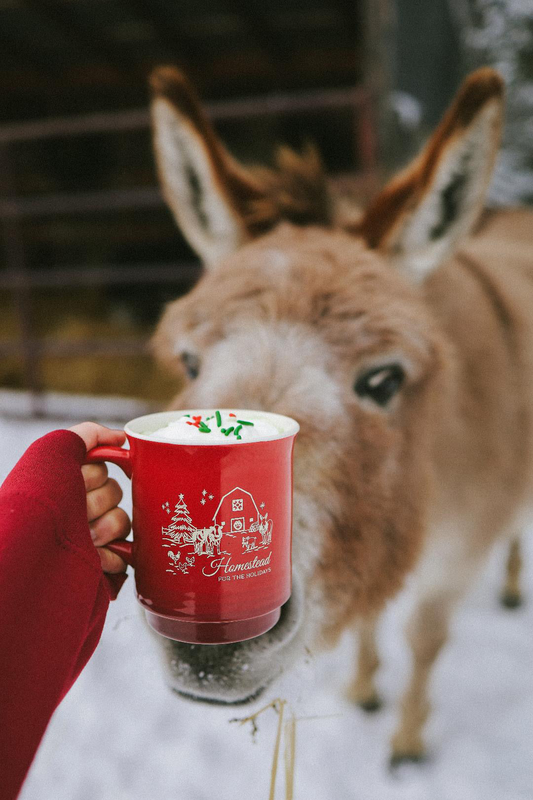 Homestead Mug | 14oz