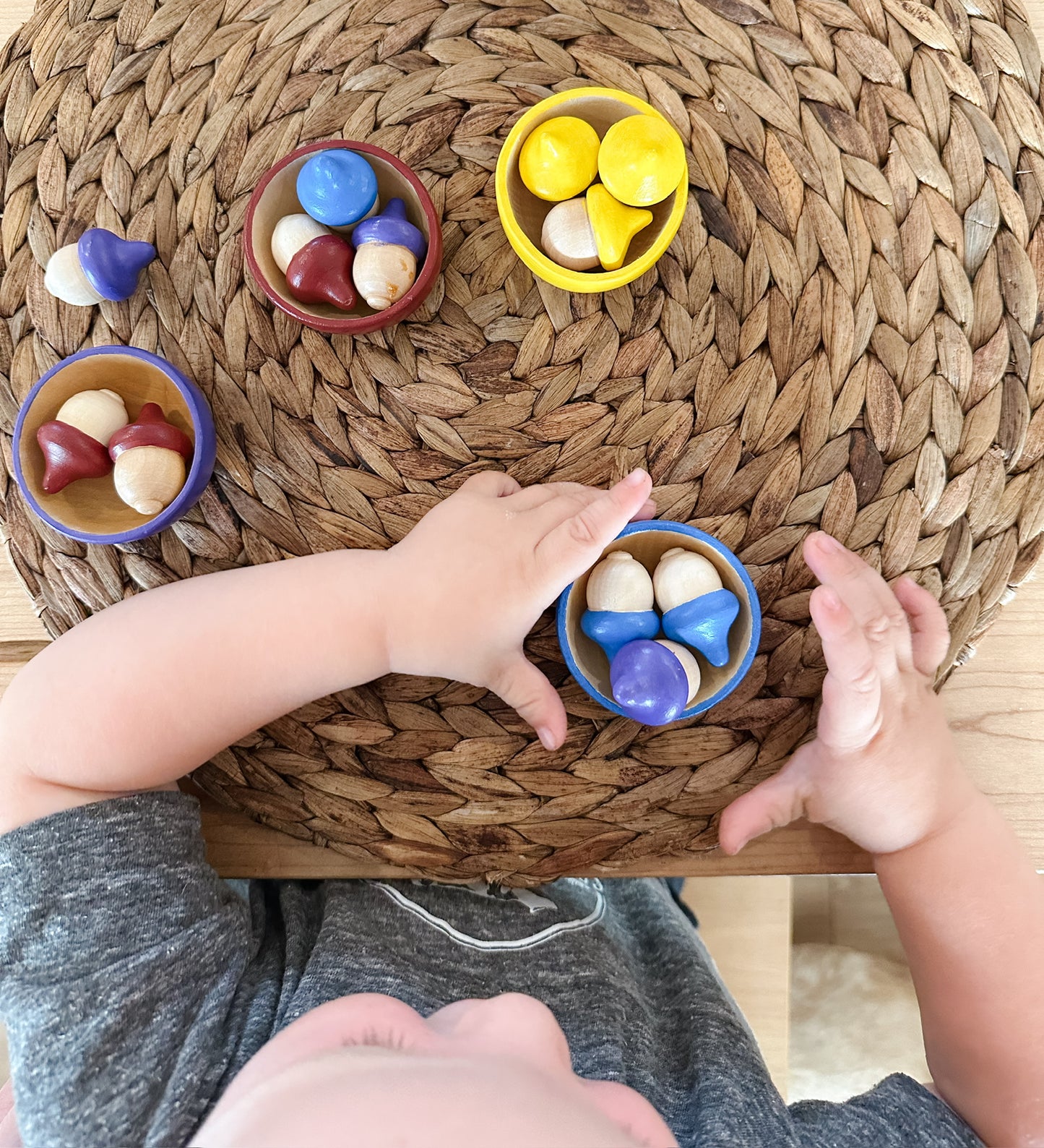 Acorn Colour Sort | Set of 4