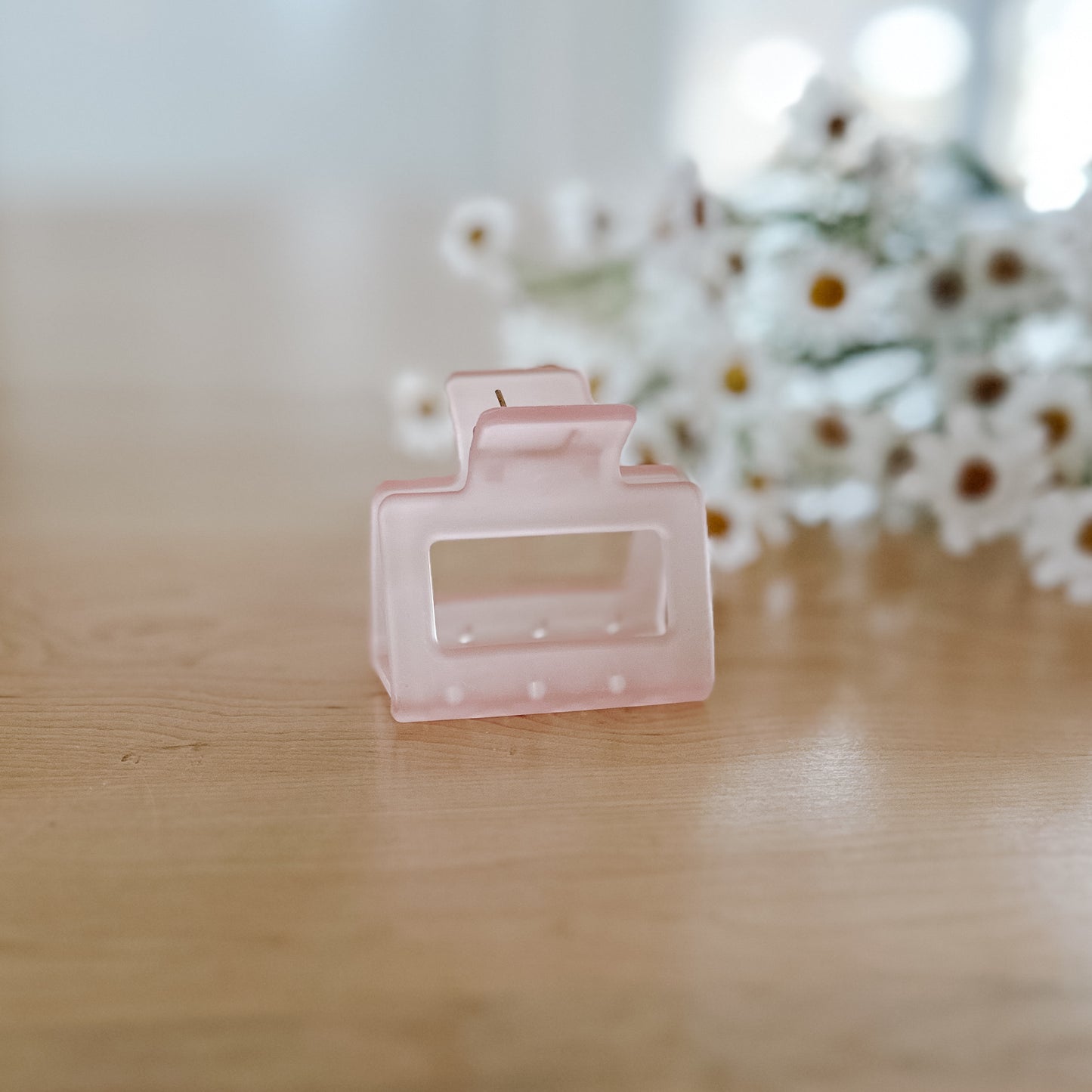 Frosted Pastel Claw Clip | Medium