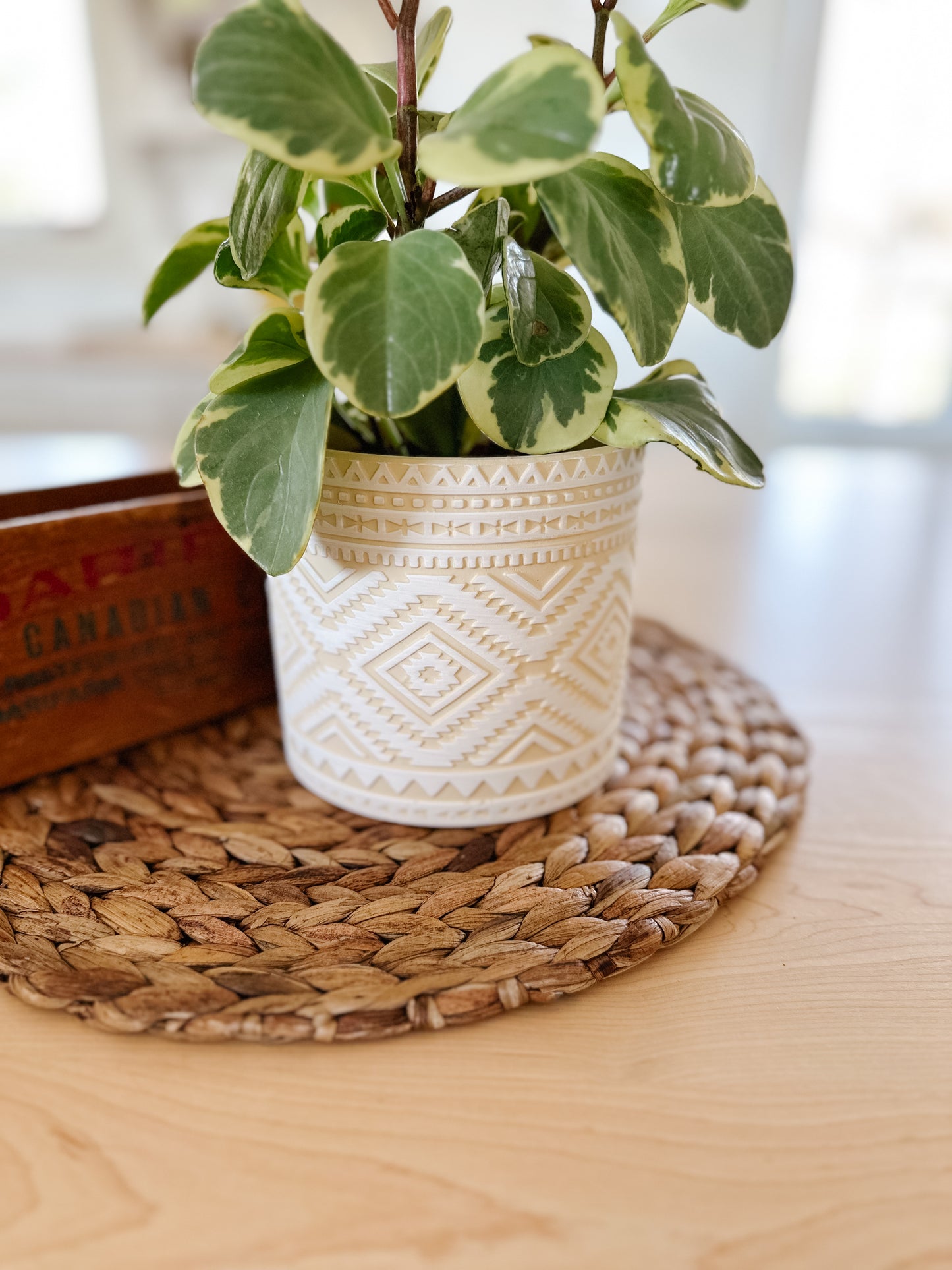 Aztec Flower Pot | Butter & White