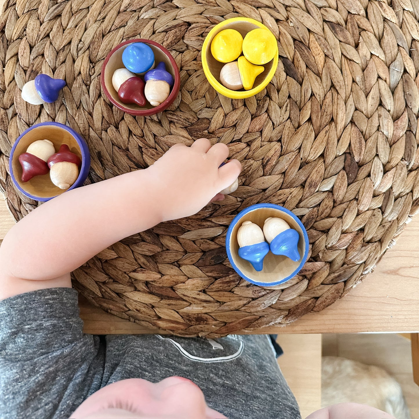 Acorn Colour Sort | Set of 4