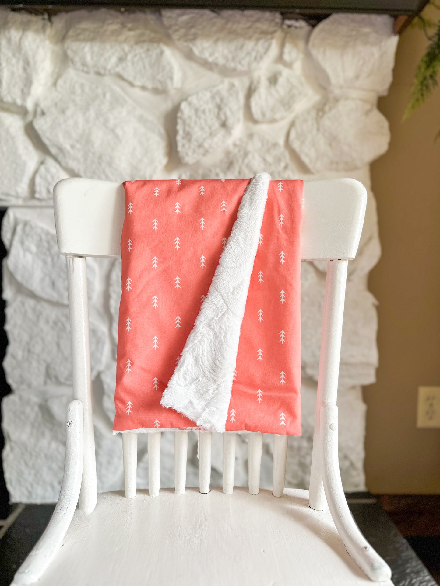 Rudie Jo Minky Baby Blankets