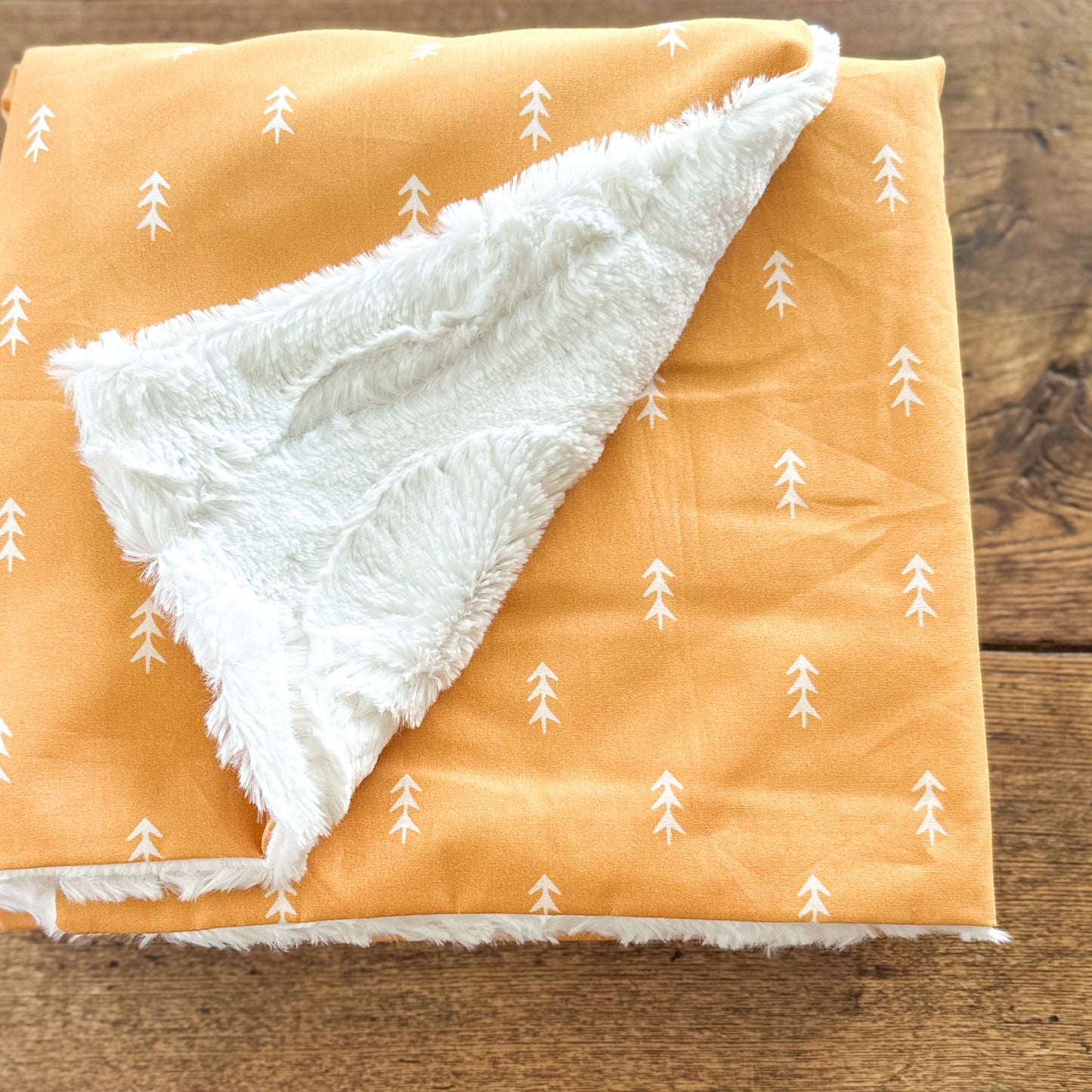 Rudie Jo Minky Baby Blankets