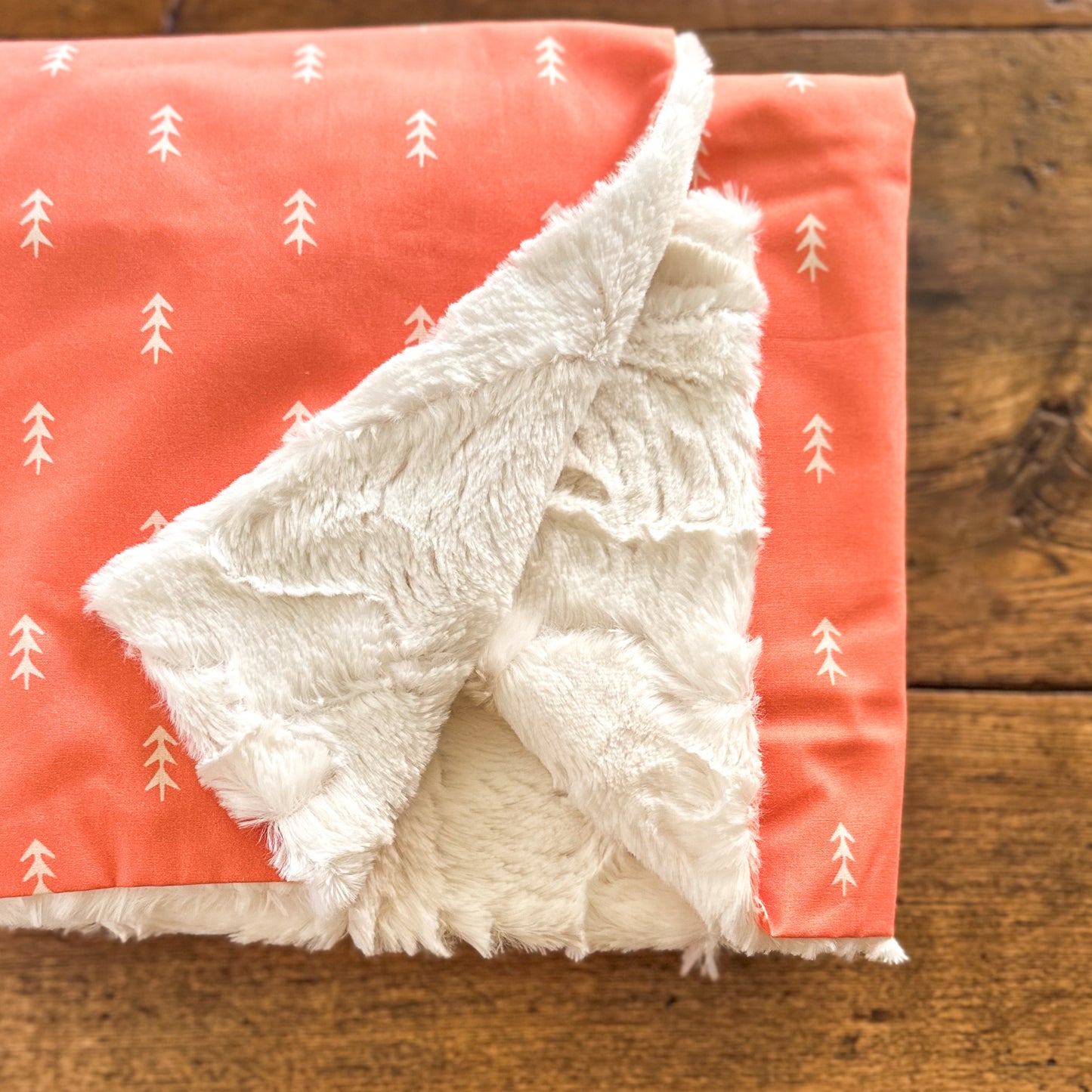 Rudie Jo Minky Baby Blankets