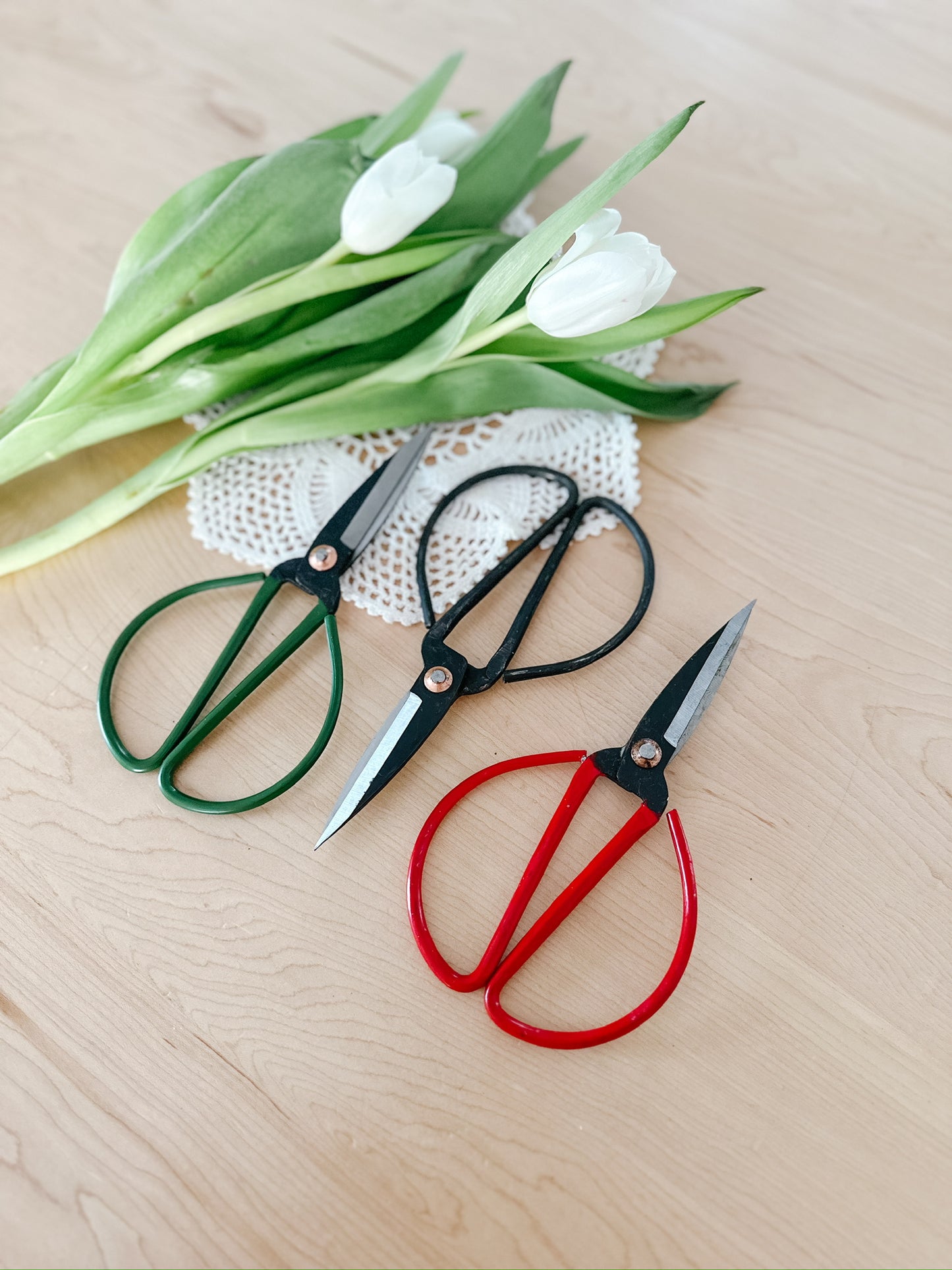 Scissor Snips