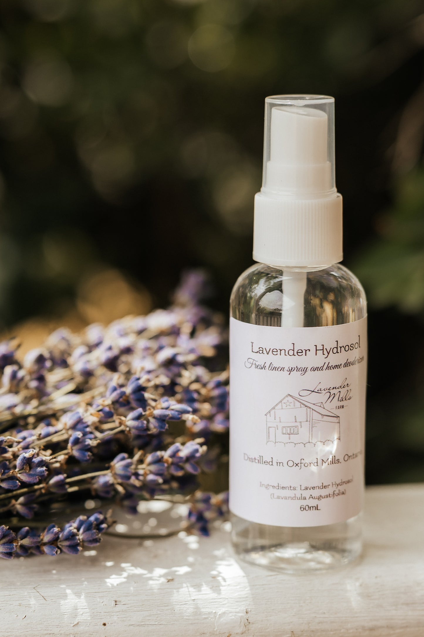 Lavender Hydrosol | Farm Distilled, Single Ingredient