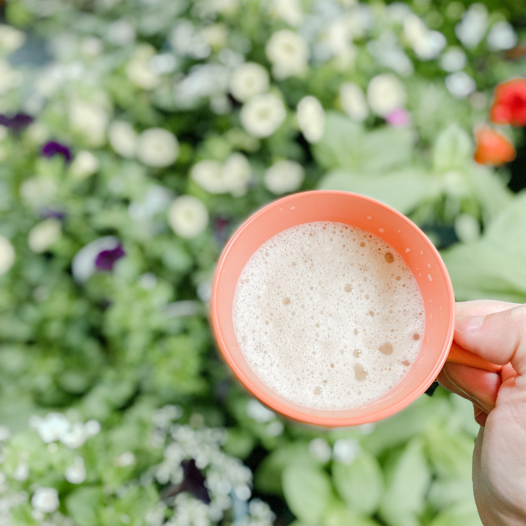 NEW | Garden Mug