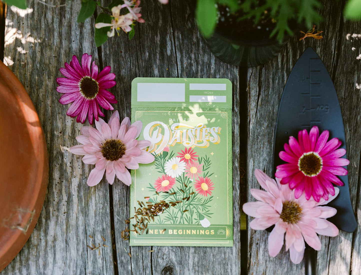 Painted Daisies (New Beginnings) | Seed Packet