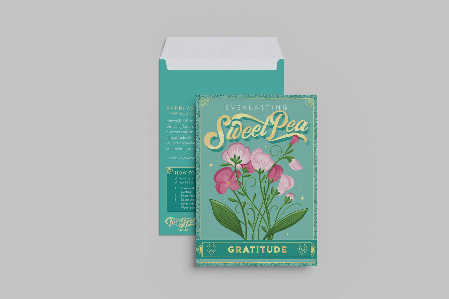 Everlasting Sweet Pea (Gratitude) | Seed Packet