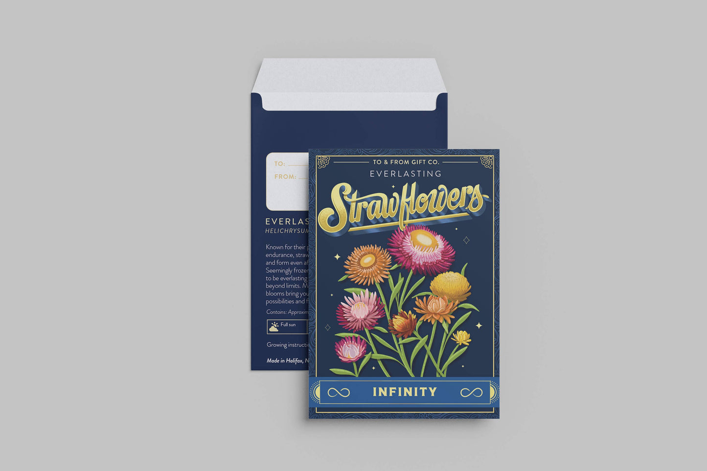 Strawflowers (Infinity) | Seed Packet