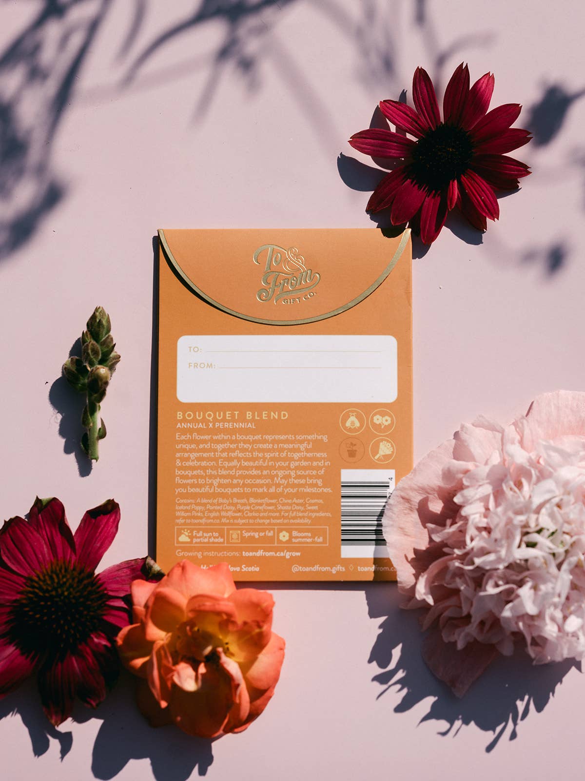 Grow Your Own Bouquet (Celebrate) | Seed Packet