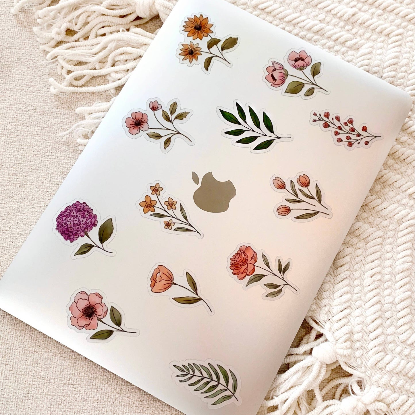 Anemone | Sticker