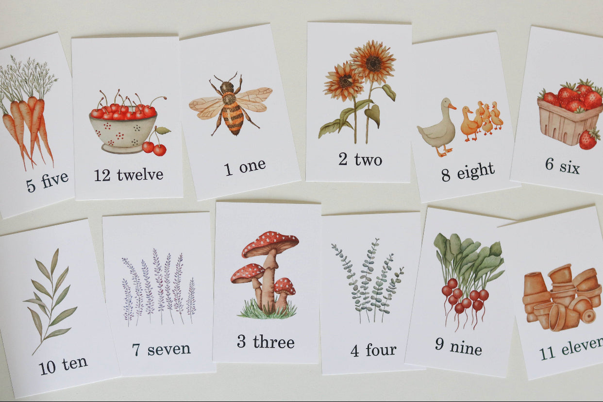 Counting Flashcards 1-12