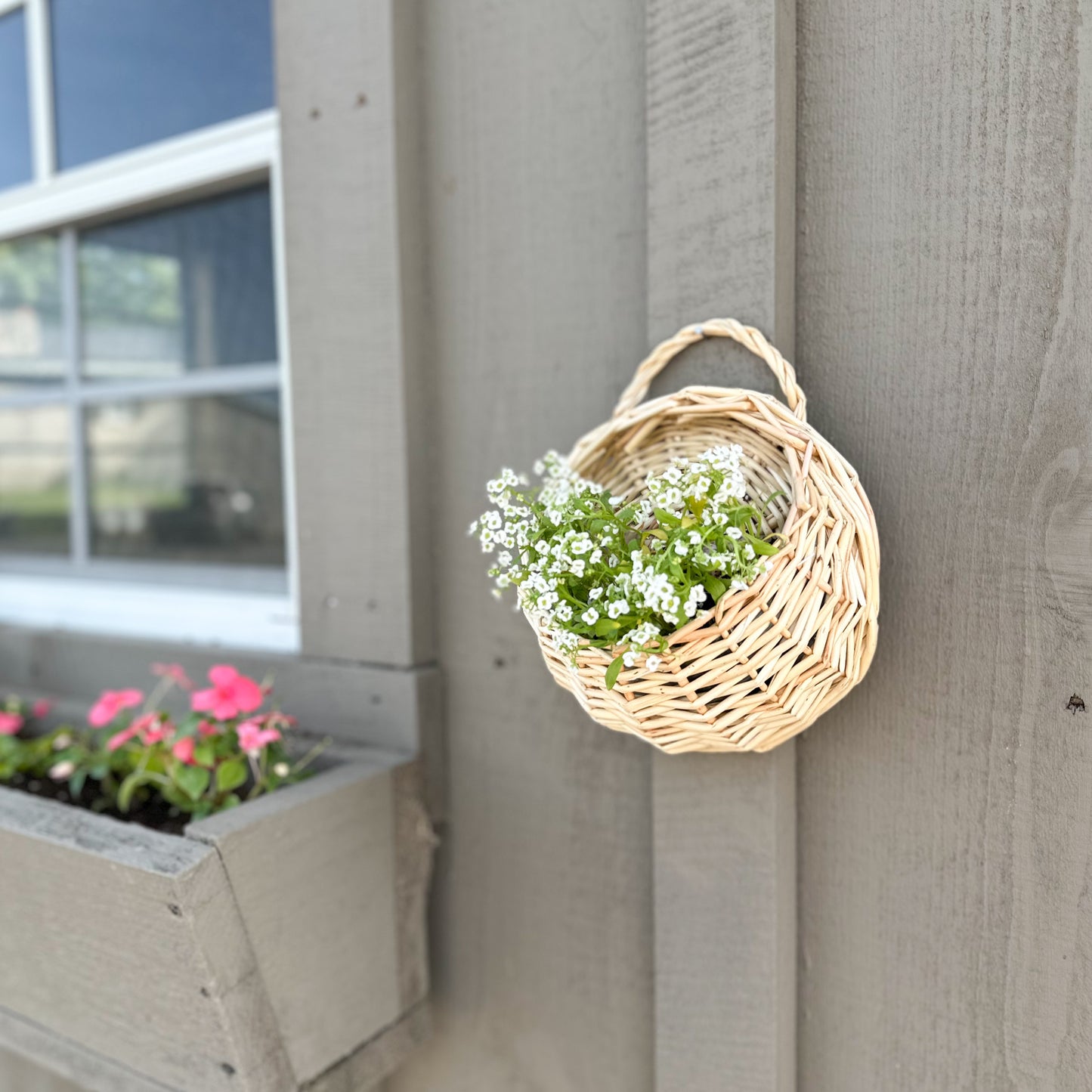 Wall Plant Basket