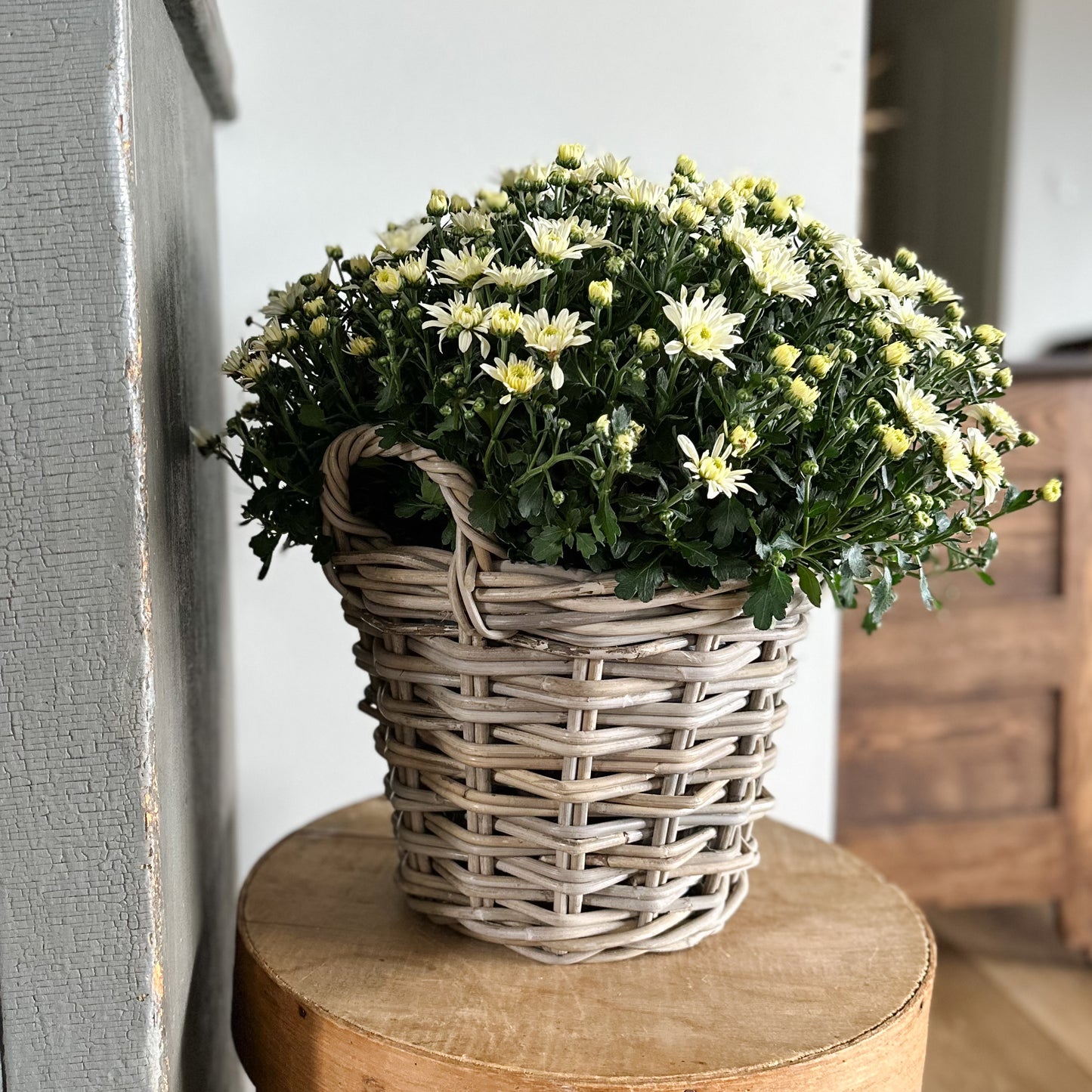 Bushel Basket With Handles | Grey
