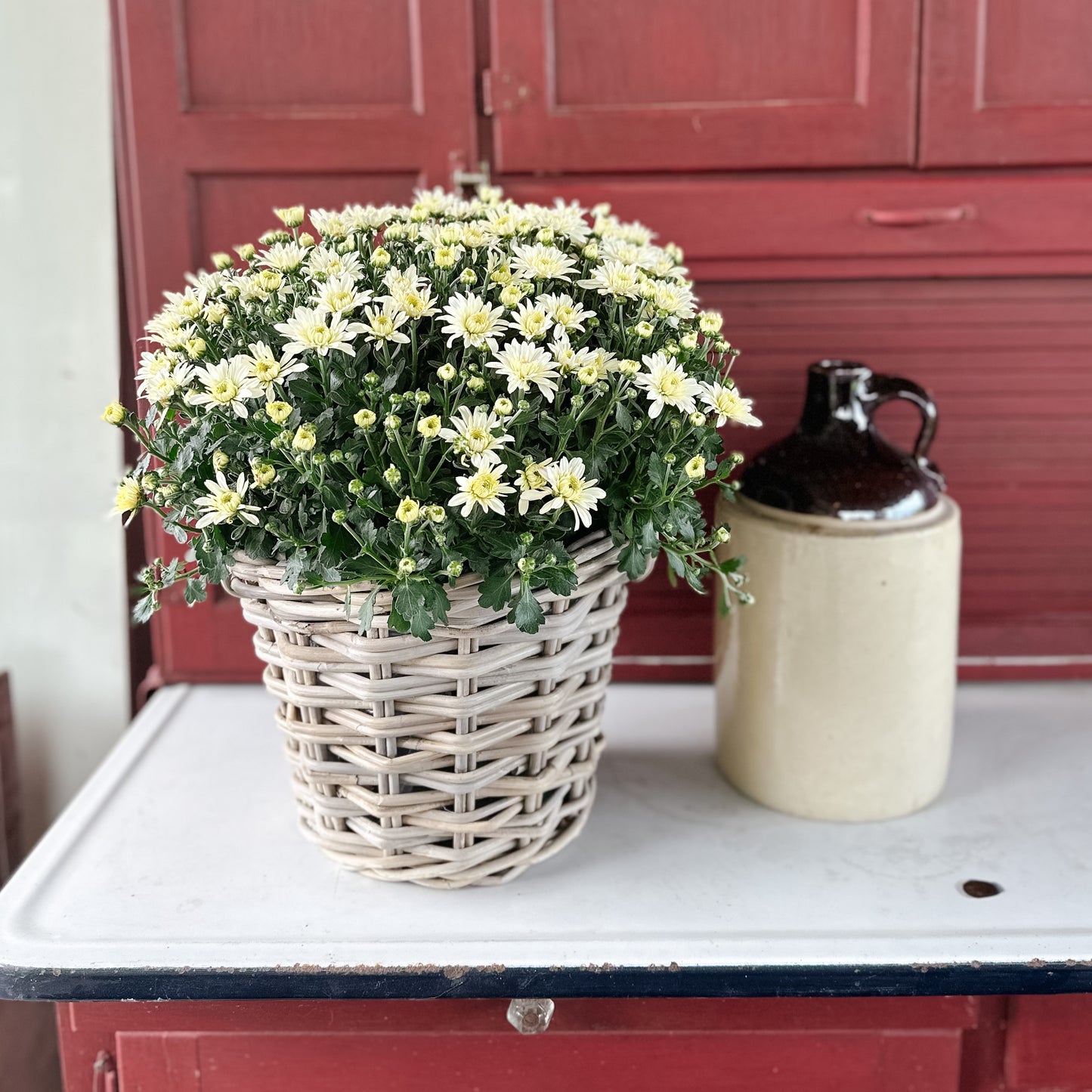 Bushel Basket With Handles | Grey