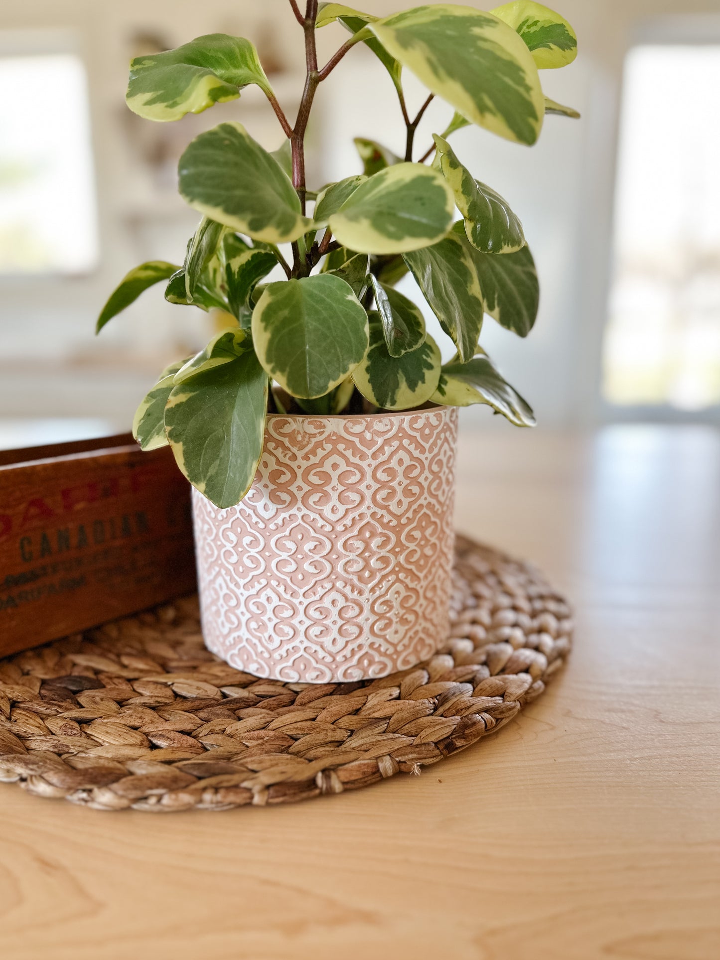 Lace Pattern Flower Pot | Pink & White