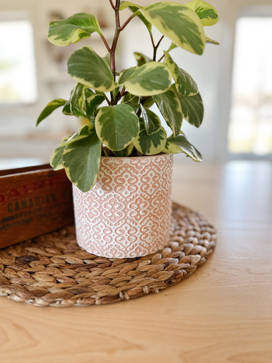 Lace Pattern Flower Pot | Pink & White