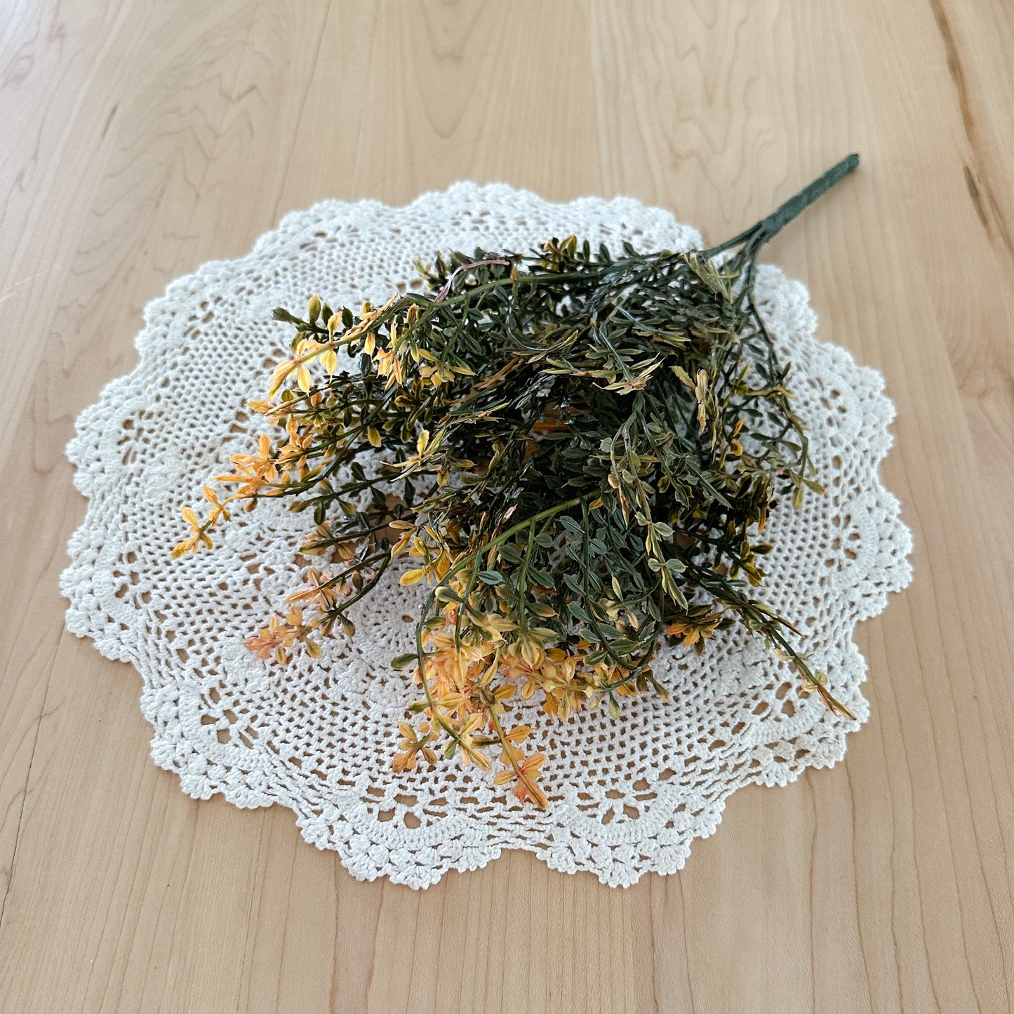 Bush Chickweed | Mustard