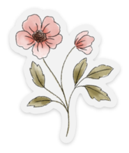 Pink Primrose | Sticker