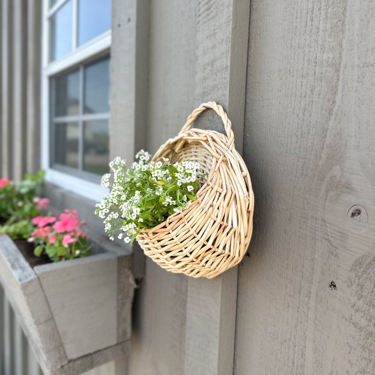 Wall Plant Basket