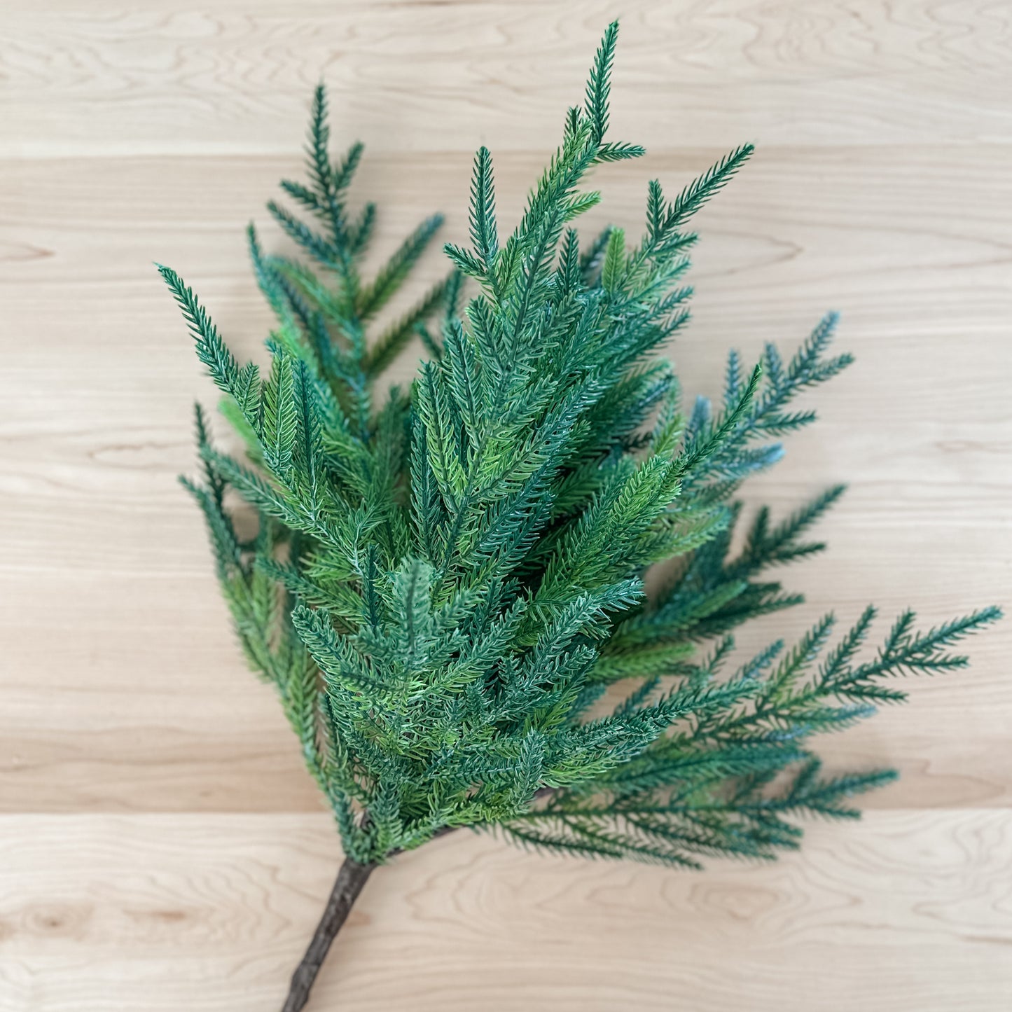 Large Evergreen Pick