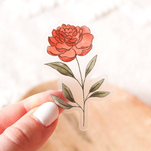 Ranunculus | Sticker