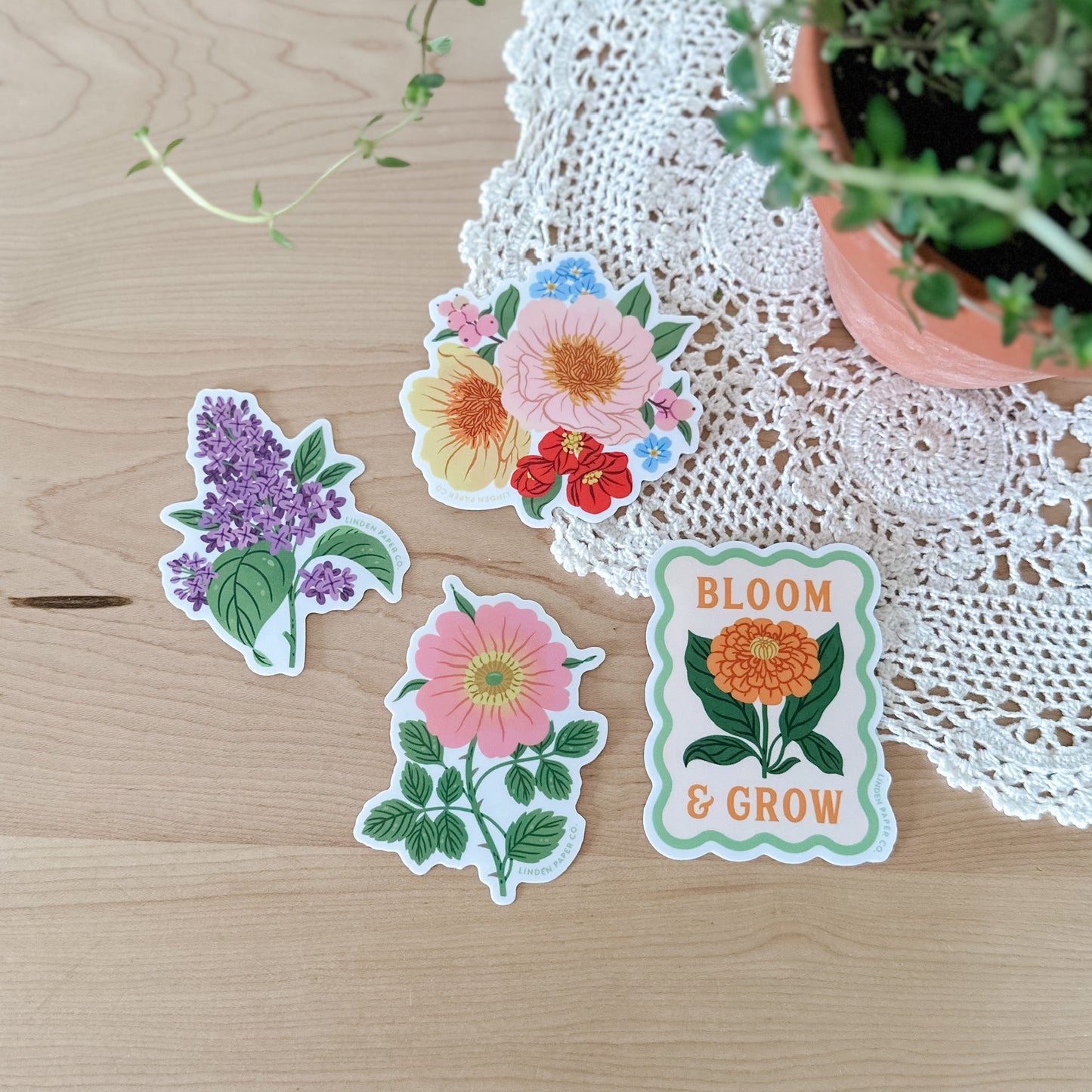 Bloom & Grow | Clear Vinyl Sticker