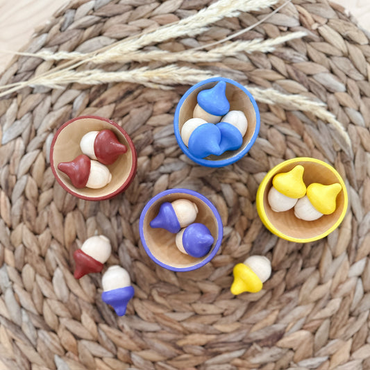 Acorn Colour Sort | Set of 4