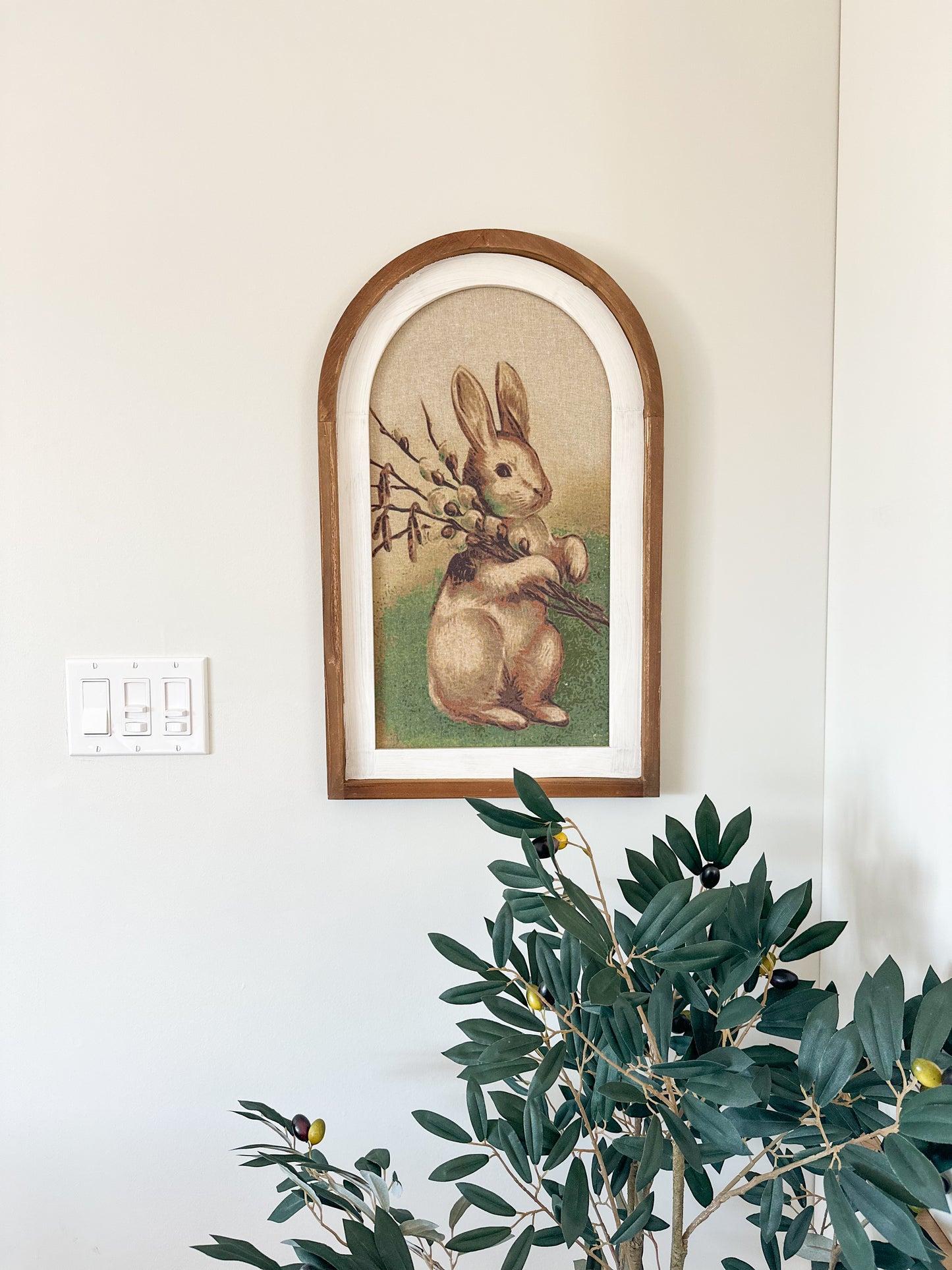 Arched Bunny Picture