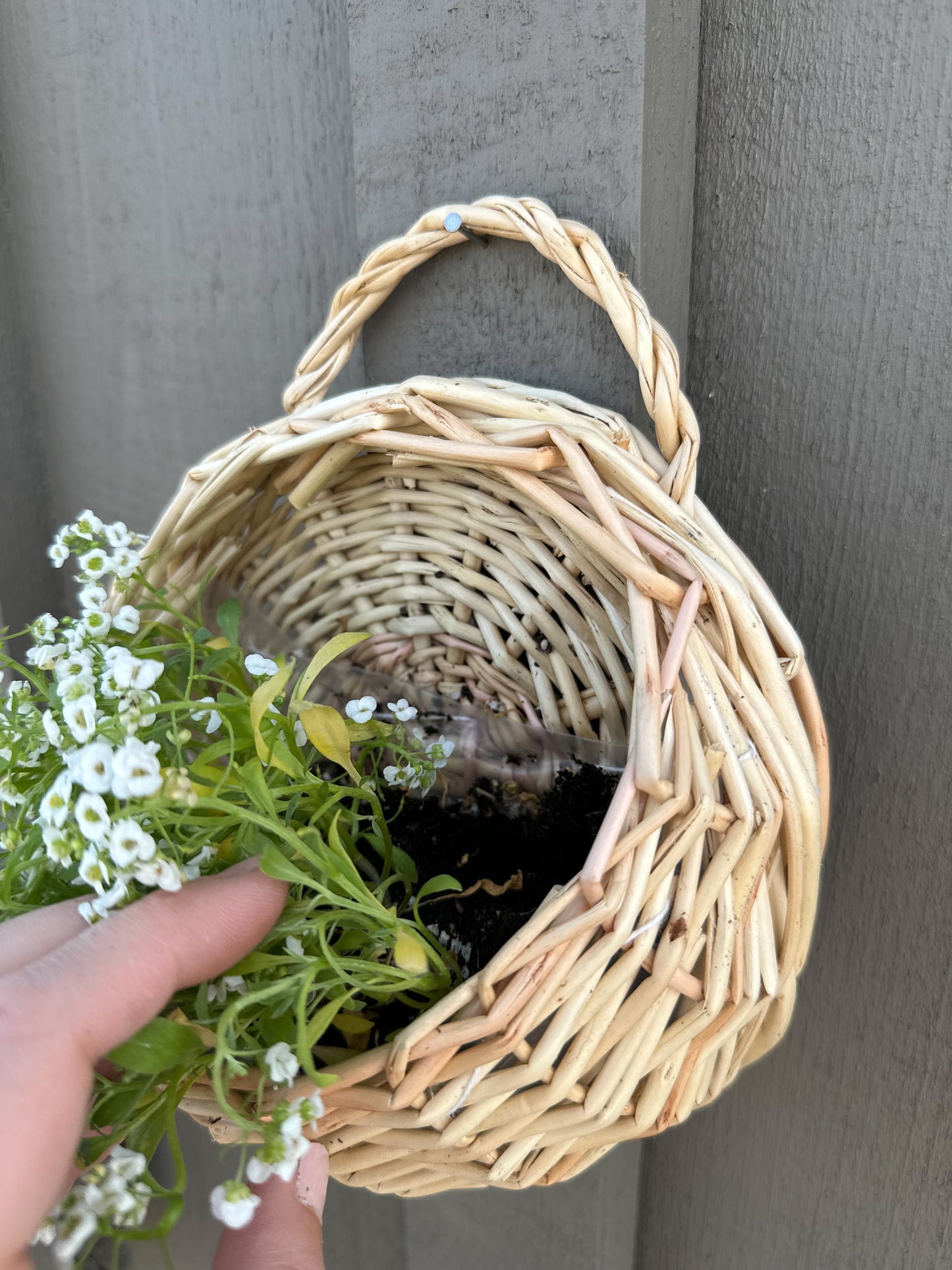 Wall Plant Basket