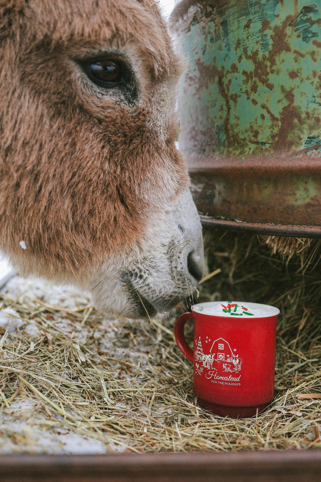 Homestead Mug | 14oz