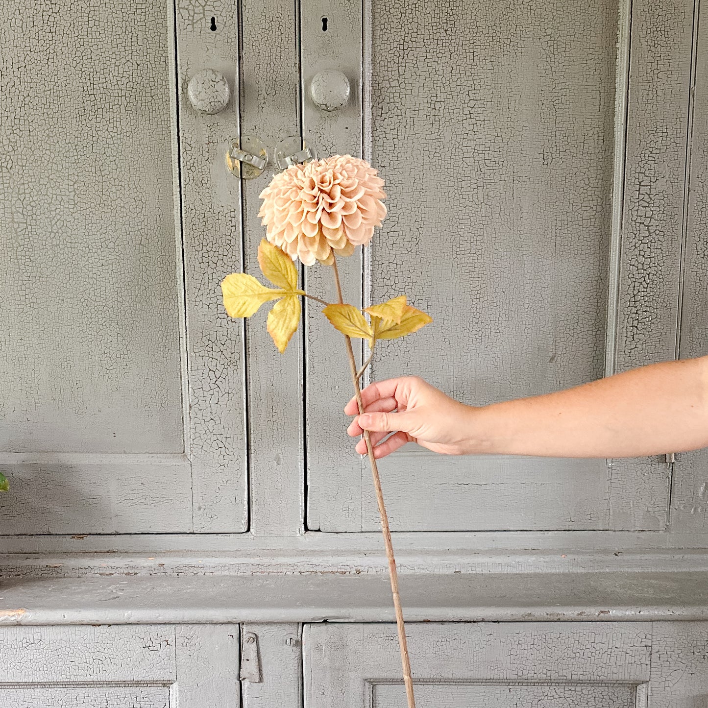 Dahlia Stem | Taupe