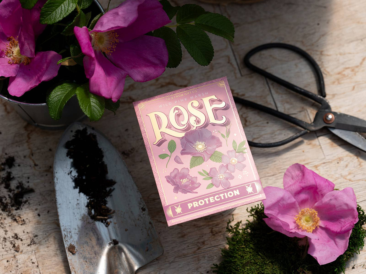 Wild Pink Marsh Rose (Protection) |  Seed Packet