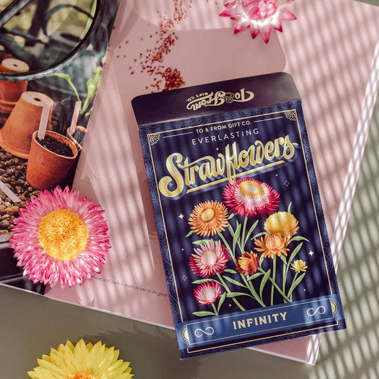 Strawflowers (Infinity) | Seed Packet